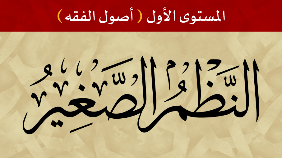 النظم الصغير